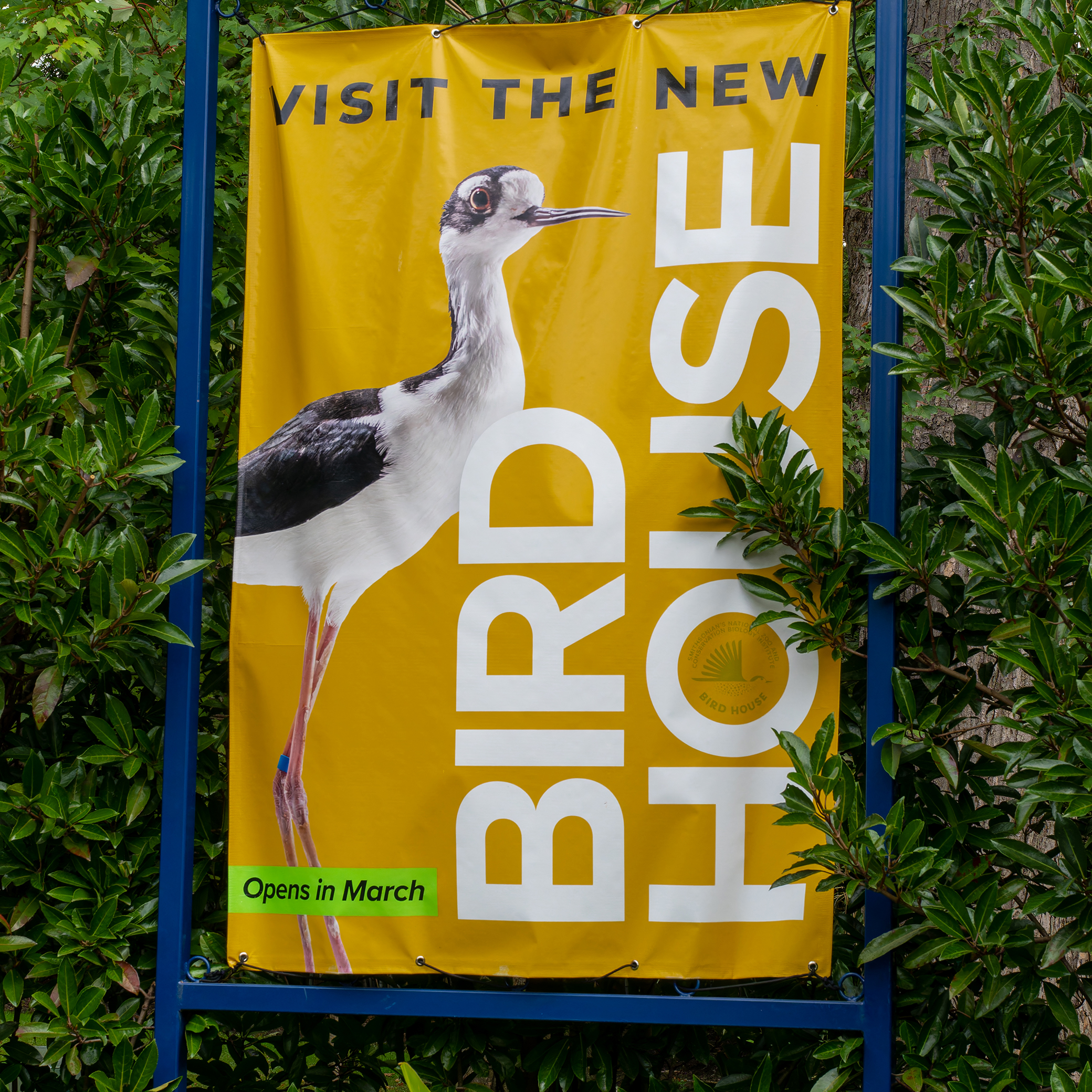 New Bird House
